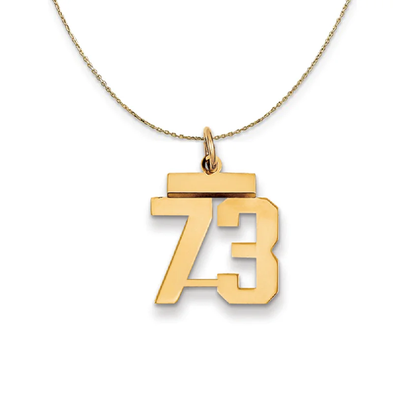 Crafted silver necklace-14k Yellow Gold, Athletic, Sm Polished Number 73 Necklace