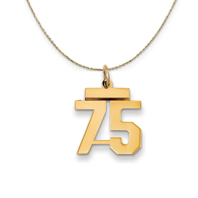 14k Yellow Gold, Athletic, Sm Polished Number 75 Necklace